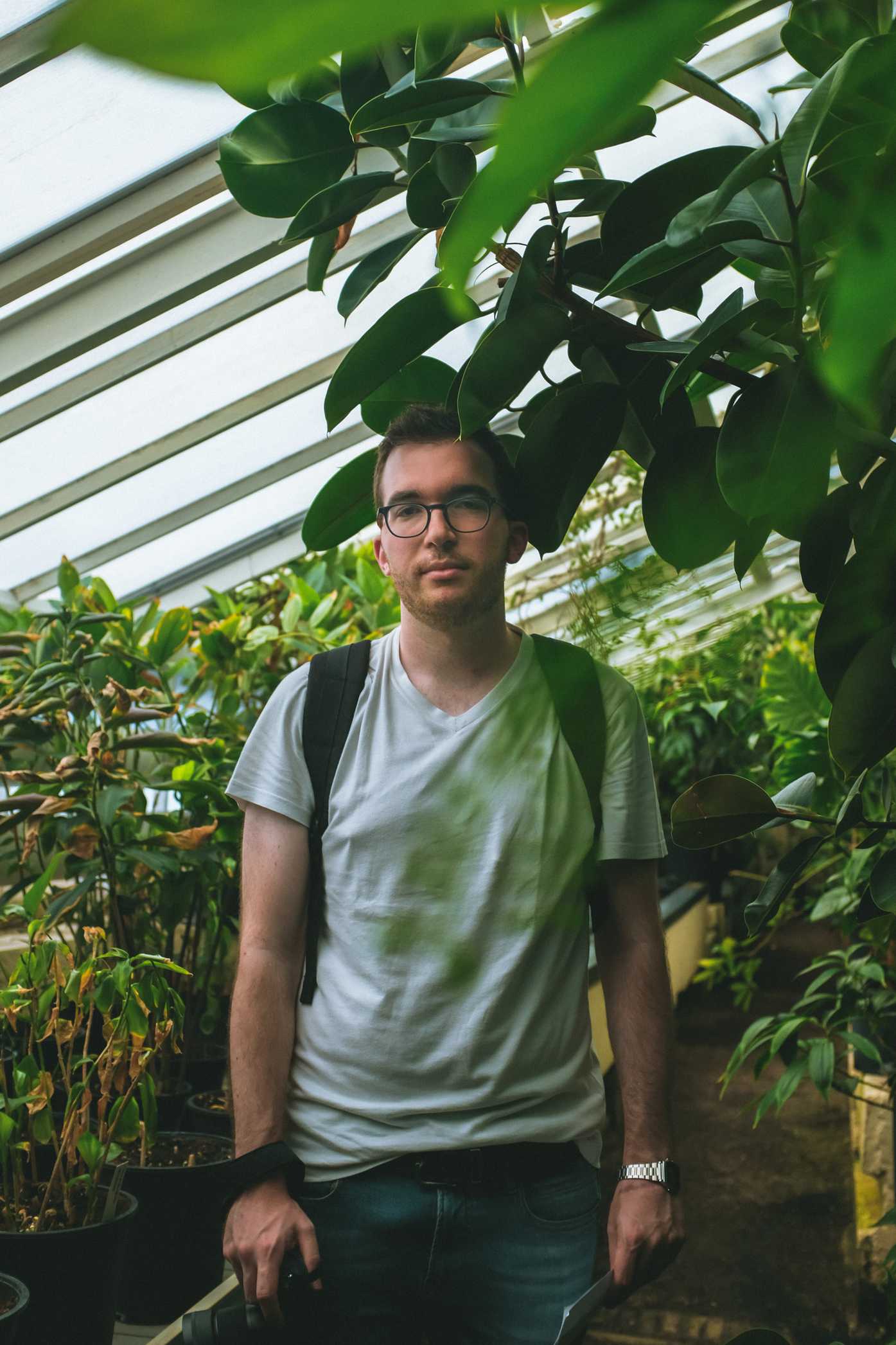 A man standing in a greenhouse